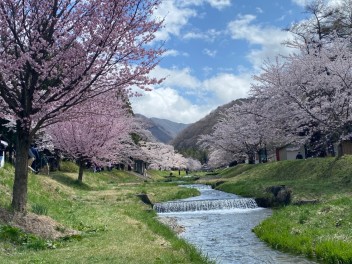 あっという間に4月も終わり…