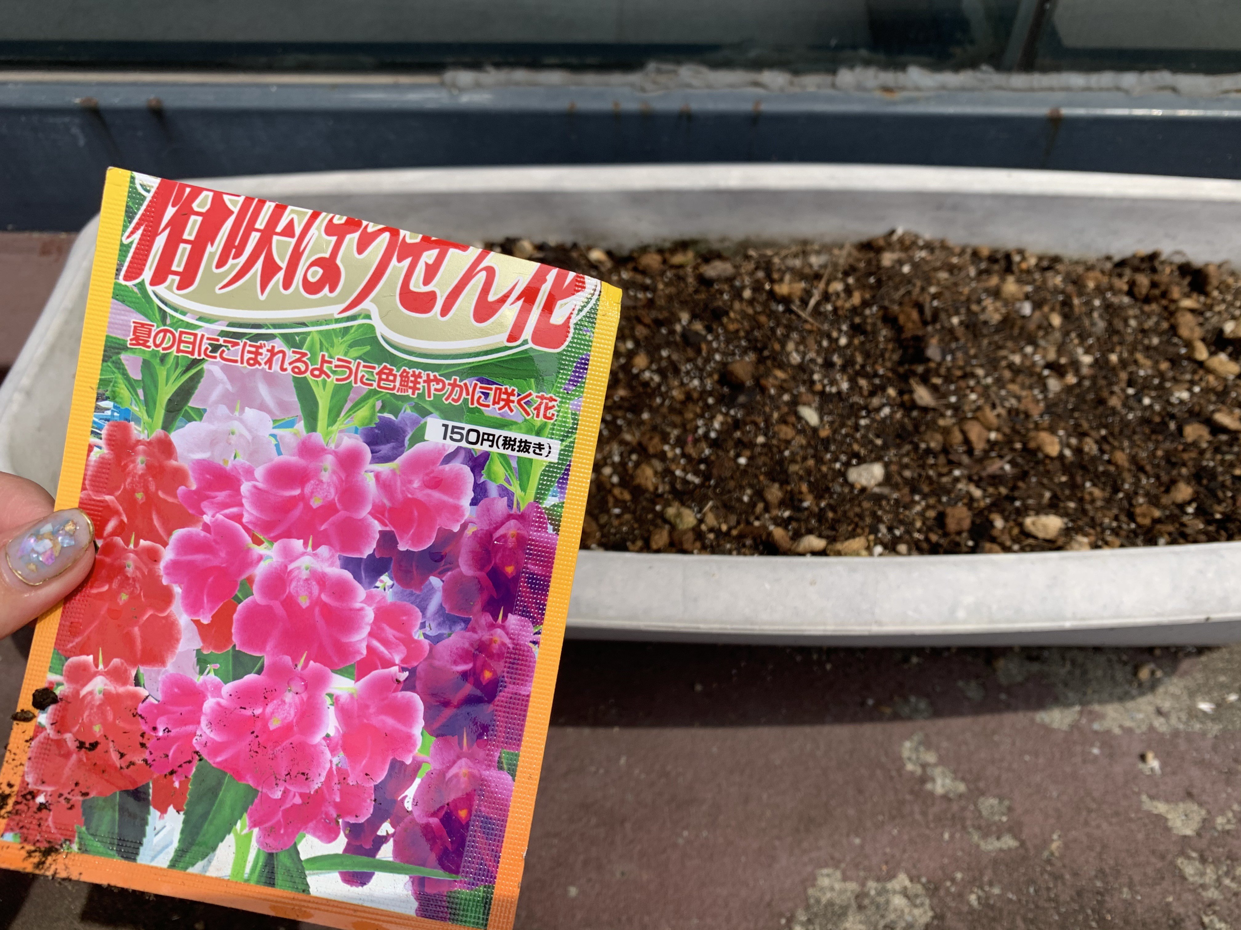 椿咲ほうせん花 その他 お店ブログ 南四国スズキ販売株式会社 スズキアリーナ高知西