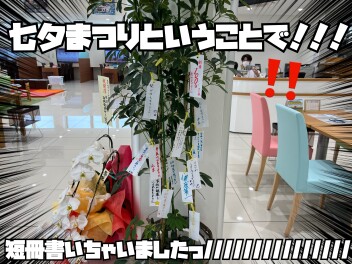 星にねがいを！！！