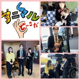 看板犬テレビデビュー！！