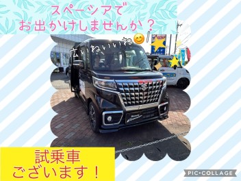 夏に向けてピッタリのお車探しませんか？