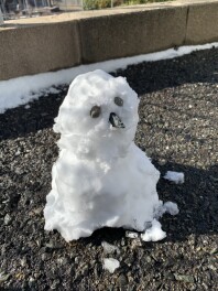 【注意！】ノーマルタイヤ　雪道　違反　！？