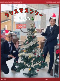 クリスマスツリー出しました！