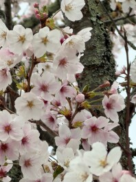 心躍る新年度スタート☆彡