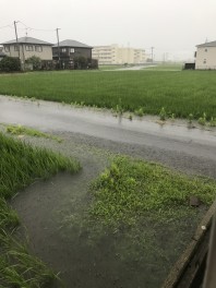 車の冠水について。