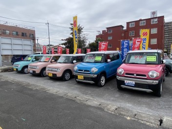 １月最後の展示会