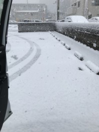 雪です！(12月23日)