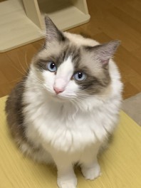 夏季休暇のお知らせ