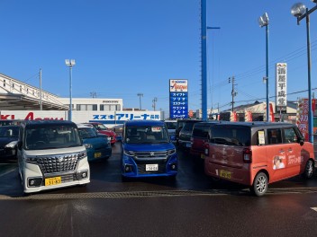 本日スズキの初売り最終日☆彡