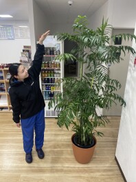 新津の緑をご紹介！！