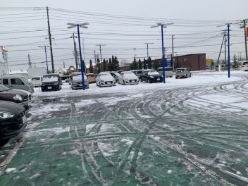 雪が降りました