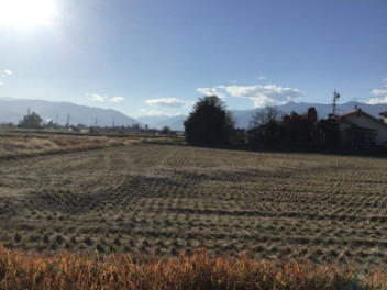 秋が深まってきましたね。