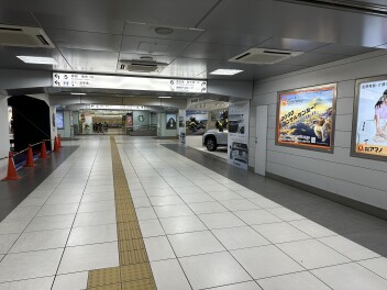 新型フロンクス見に行ってきました！