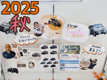 ２０２５　秋　ラパンご紹介