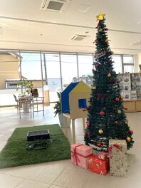クリスマス　ツリー　が登場