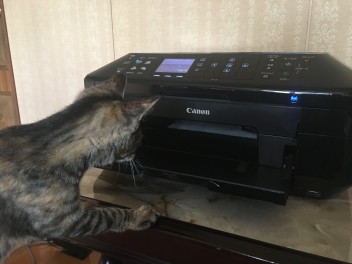 ♪店長の気まぐれ日記（その2）