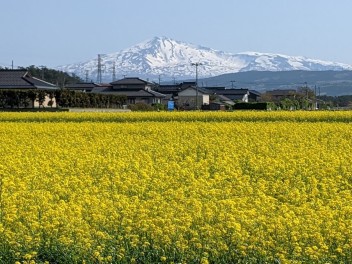 5月ですね