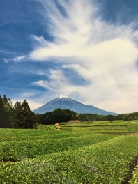 お休みのお知らせ