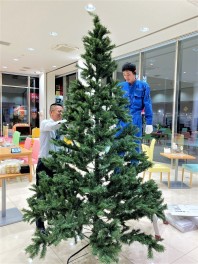 堅田店に！おっきいクリスマスツリーが出現！ぜひ見に来てください♪