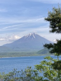 だんだんと暑くなってきました。