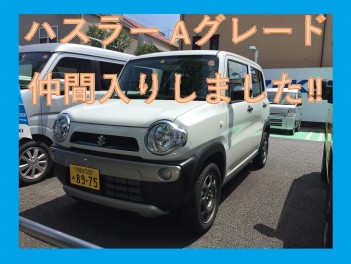 ハスラーＡグレードの試乗車が仲間入りしました！