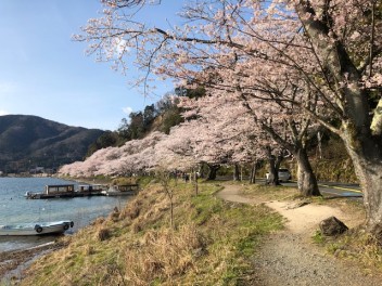 お花見に行きました！！！