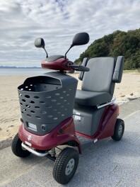 散歩しましょう