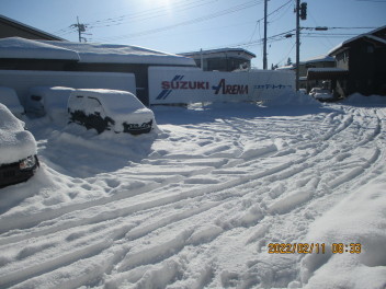 雪、降っちゃいました。