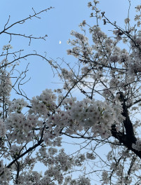 いよいよ新年度が始まりました～～