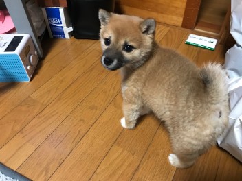 すくすくと、、♥