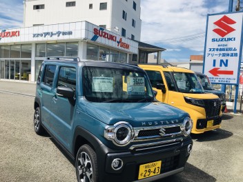 週末展示会開催中です♪