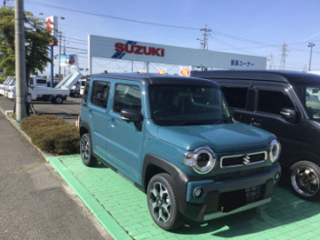 【展示車】4月末より続々入庫！