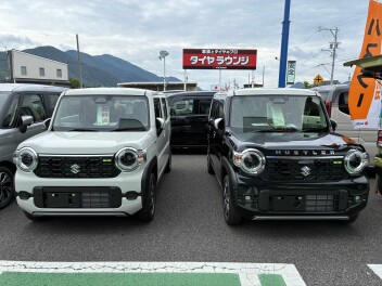 新型ハスラー、白or黒？