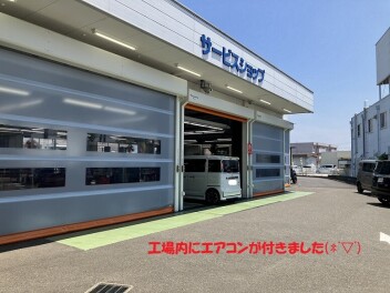 7月レディースデーのお知らせ