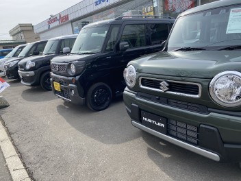 新古車勢揃い！！