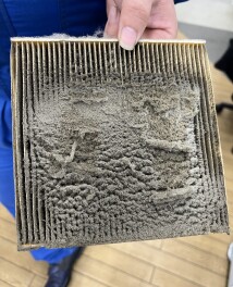 びっくりしたこと