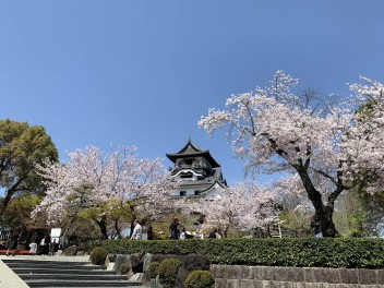 お花見日和！