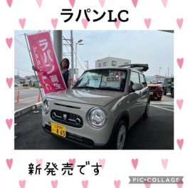 新しいラパンが誕生しました(´艸｀*)