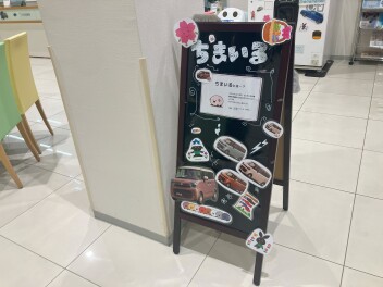 春がきました＾＾
