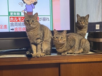 ♪店長の気まぐれ日記（その9）