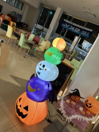 もしもの時に加入しましょう！週末も営業しております！
