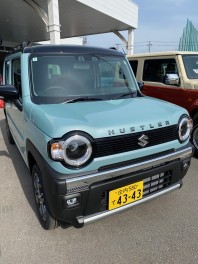 ハスラータフワイルド試乗車ございます！