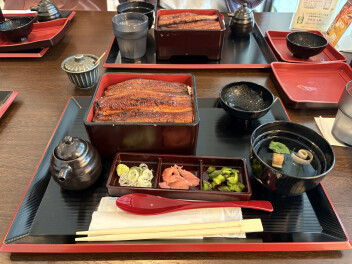 ウナギ食べに行ってきました。