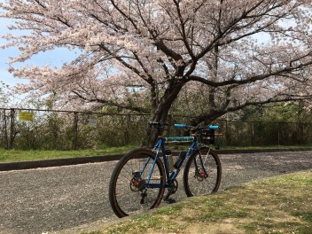 ご挨拶とお知らせ