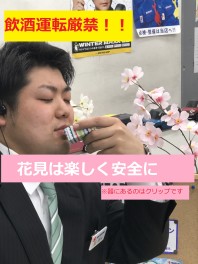 桜満開待ち遠しい♪♪