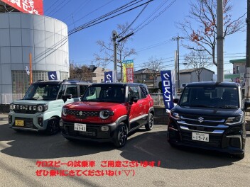 １２月レディースデーについて（今回が最終です）