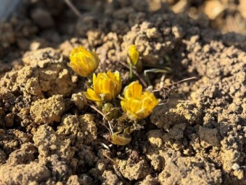 これはなんでしょう？