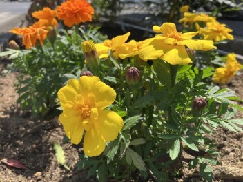 入社して1年が経ちました！