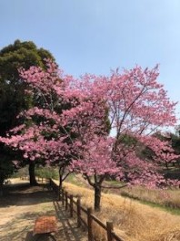 ご来場ありがとうございました！！