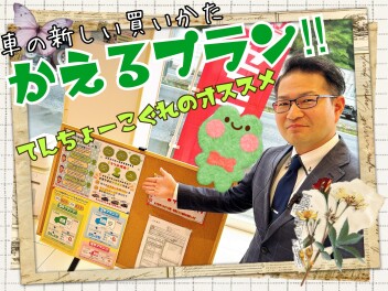 かえるプランおすすめです